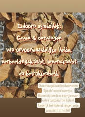 Screenshot_20251005_174628